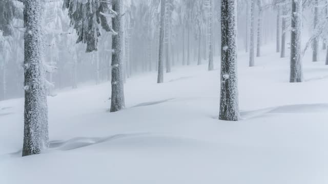 Stable Diffusion Image Variations | AI Image Generator